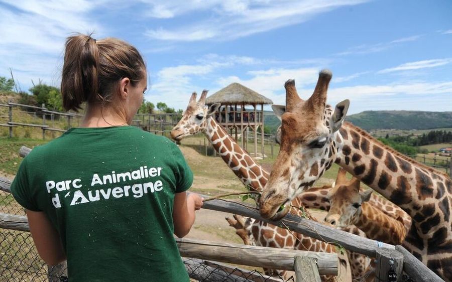 Parc Animalier d'Auvergne